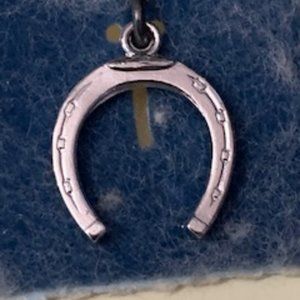 Horseshoe charm